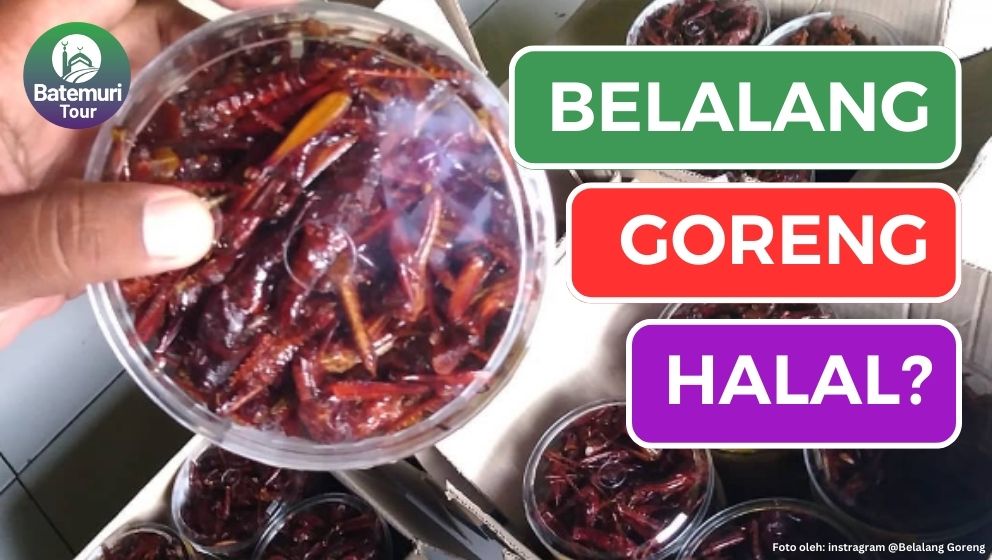 Belalang Goreng Halal!!!! Serangga Harus Disembelih atau Tidak?